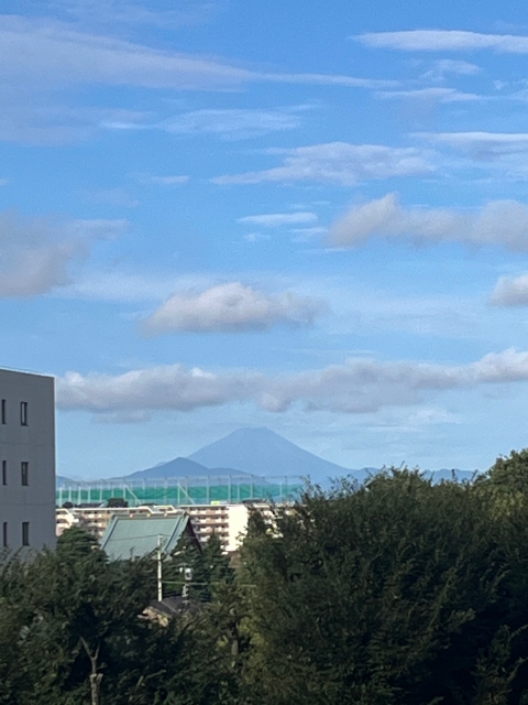 まい 爽やかな朝に､､､