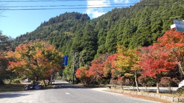 あんり 今日もアリガトウございました?