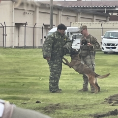 相田 横田基地日記4